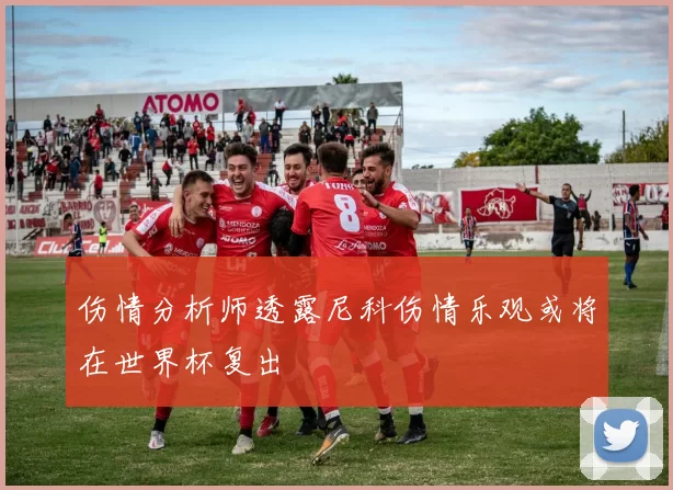 伤情分析师透露尼科伤情乐观或将在世界杯复出